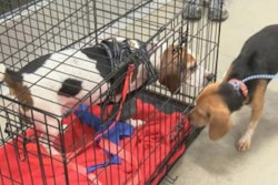 trooper-and-adam-reunited