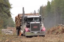 logging-trucks