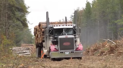 logging-trucks