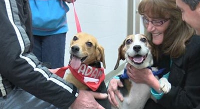 Trooper and Adam were adopted together last weekend.