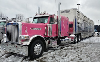 Pig hauler Pamela Cox drives this 2016 Peterbilt 389, named “Pinkie” because of its exterior and breast cancer awareness decals. She pulls a 2018 Wilson livestock trailer.