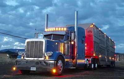 McCaskie drivers this 2011 Peterbilt 389, owned by Vanee Trucking. Vanee’s mechanics stretched the frame and had it repainted, added new drop skirts, lights, stacks, visor, fenders, headlights, and bumper. (Image Courtesy of Maggie McCaskie)