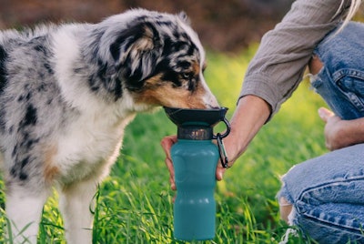 AutoDogMug makes giving your dog water easy, less messy