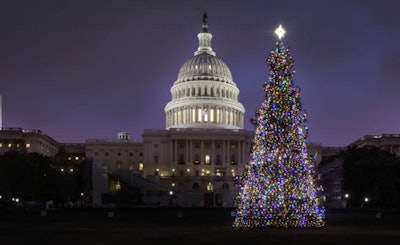U.S. Capitol Christmas Tree