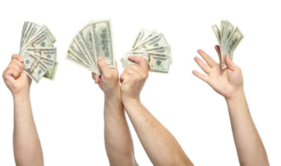 Sd Money Survey 3