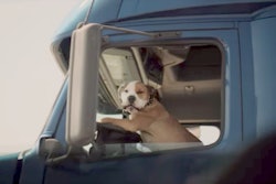 subaru-dog-commercial