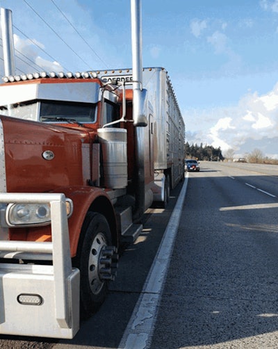 The driver of this cattle truck was arrested in Oregon (OSP photo)