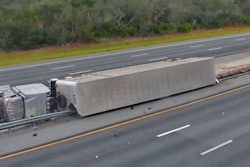 cattle-truck-crash-in-florida
