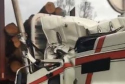tree-falls-on-truck