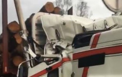 tree-falls-on-truck