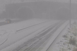 Screen Shot 2020-09-08 at 10.30.58 AM