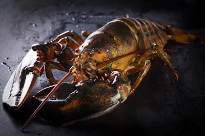 Shutterstock 1209206068 Scaled