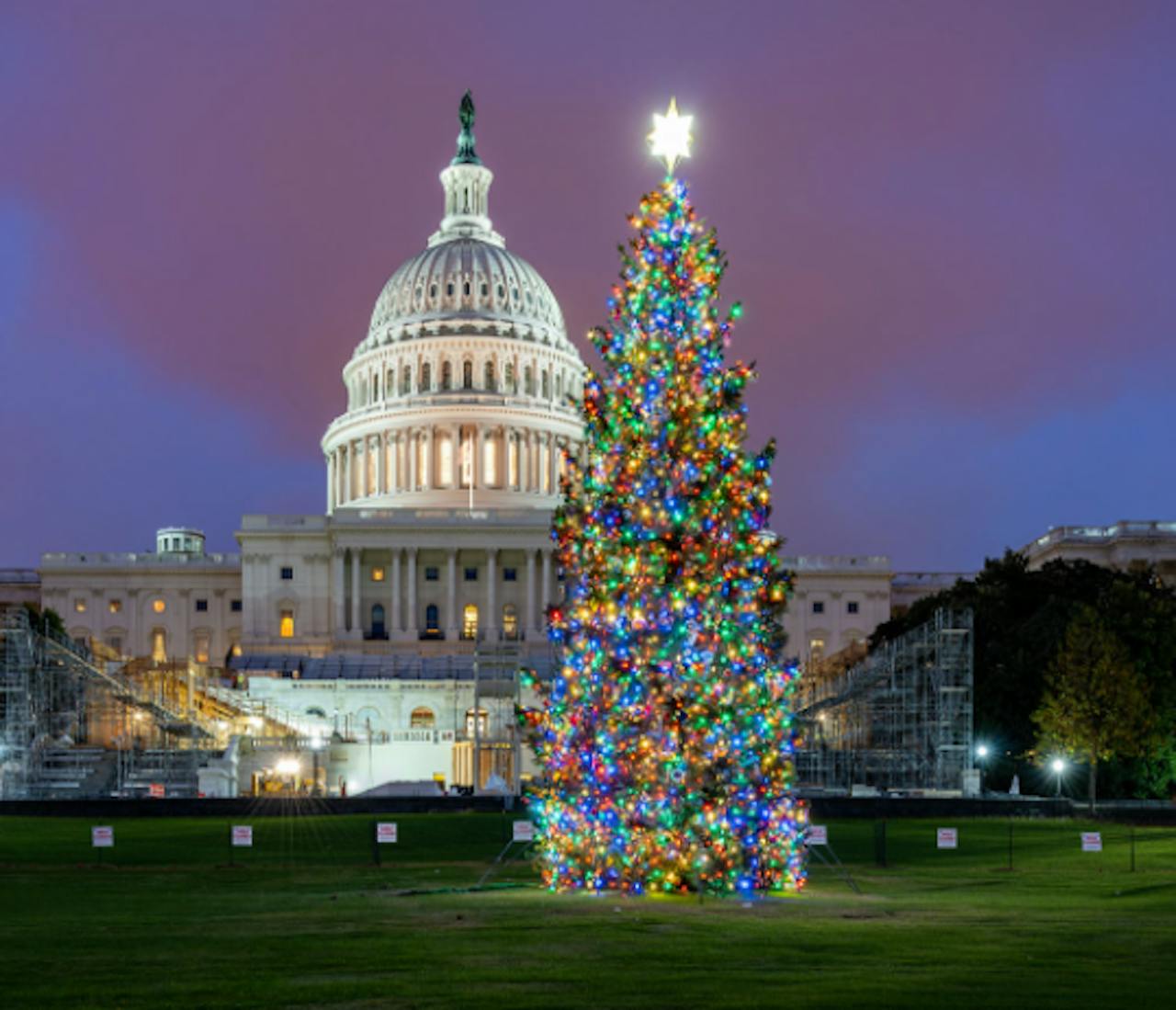 Denver Capital Christmas 2022 System Transport Tapped To Deliver Capitol Christmas Tree This Year |  Truckers News