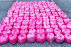 U.S. Customs and Border Protection officers found 1,7671. pounds of alleged methamphetamine during an inspection in Texas.