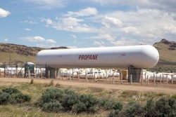 Shutterstock 1095730187