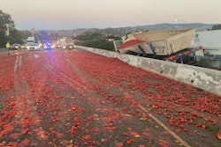 Tomatoes spilled on California highway