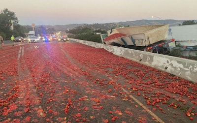 Tomatoes spilled on California highway