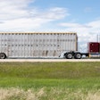 Livestock hauling big rig