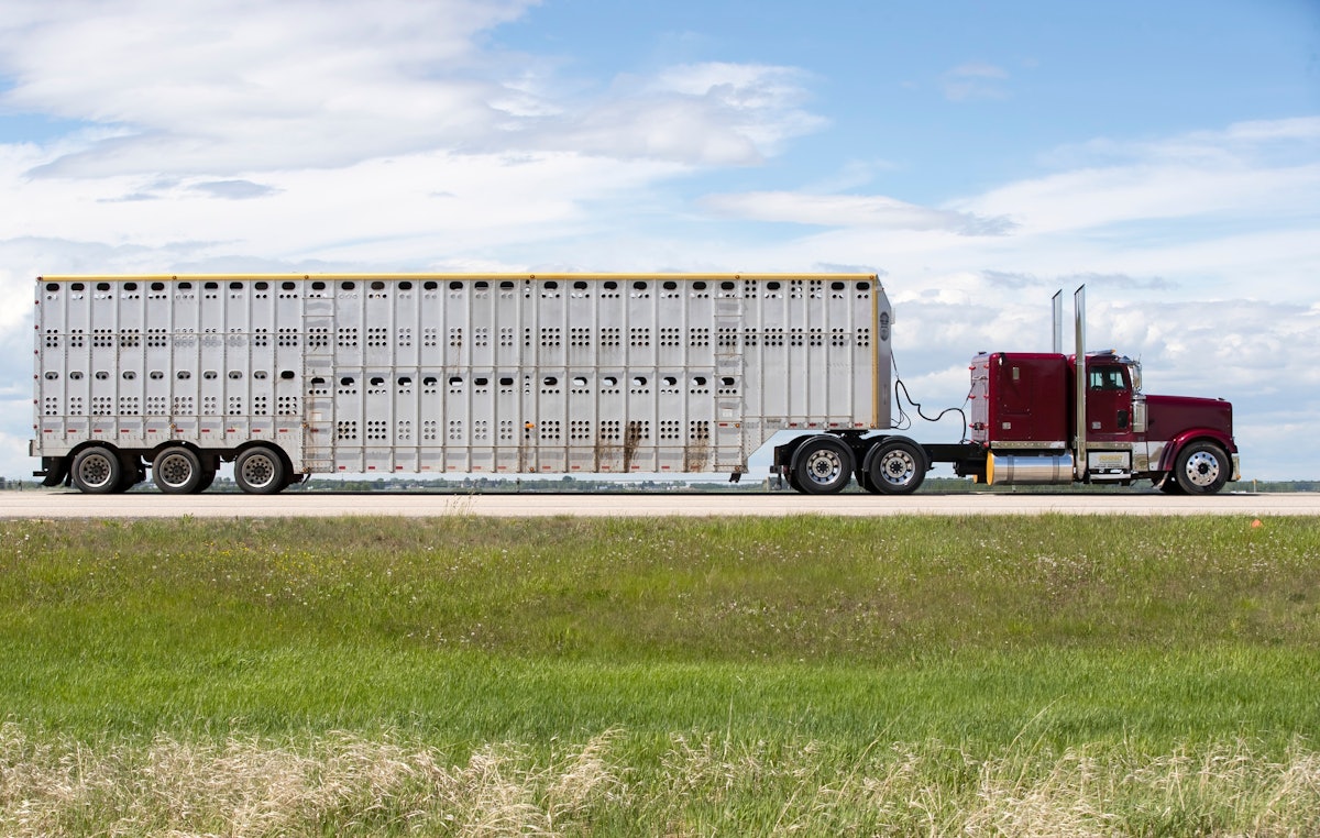 FMCSA denied extended trucking hours for agriculture - Texas Farm Bureau