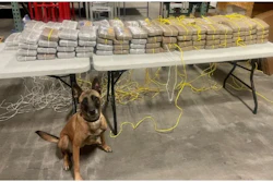 Table with cocaine and police dog