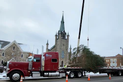 Christmas tree on flatbed semi