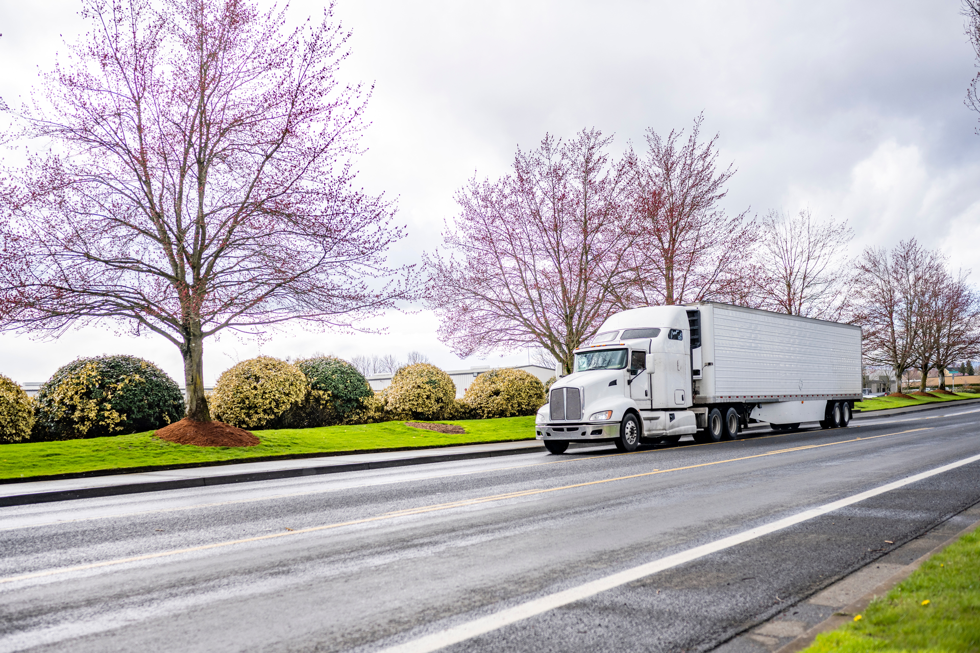 Big Rig on highway with trees in bloom