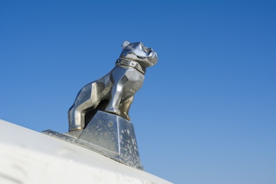 Mack bulldog hood ornament