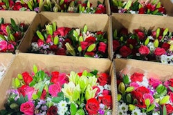 Flowers prepared for shipping
