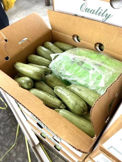 Meth in shipment of squash