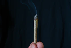 Marijuana joint