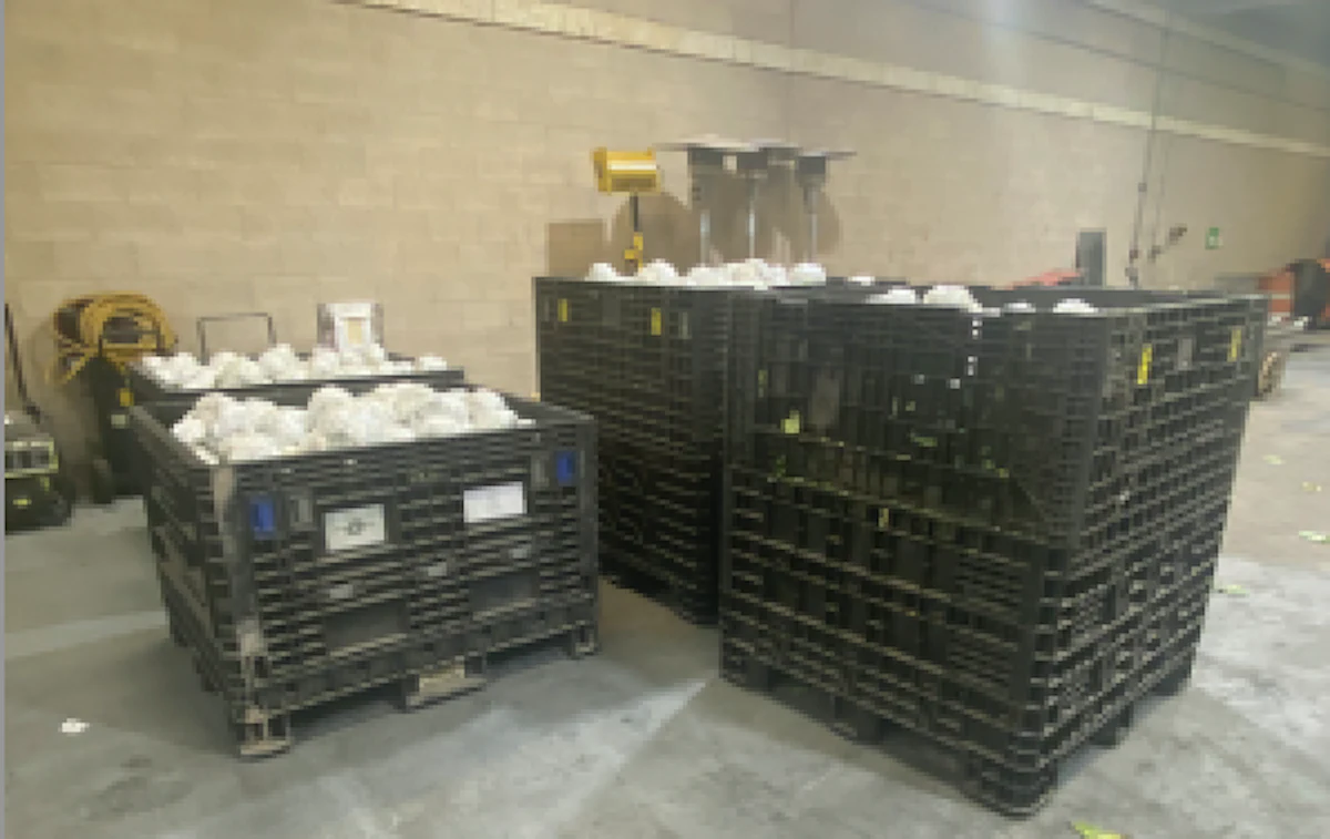 Customs officers find 1,455 pounds of marijuana in tractor-trailer