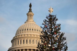 Capitol Christmas Tree