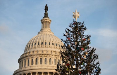 Capitol Christmas Tree