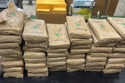 Cocaine seized by police in Michigan