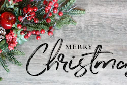 'Merry Christmas' on white background with pine branches and holly berries