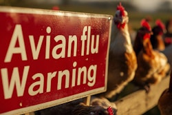 'Avian flu Warning' sign with chickens