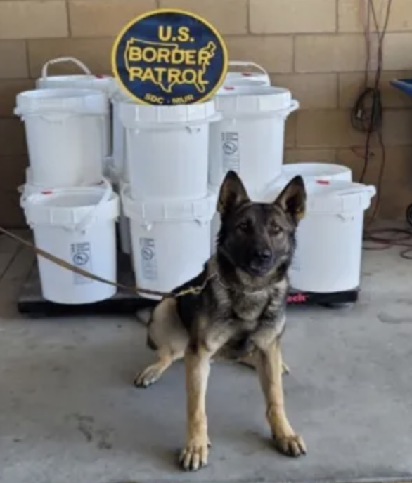 761 pounds of liquid meth found in truck's fuel tanks | Truckers News