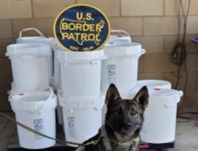 Seized meth with drug-sniffing dog