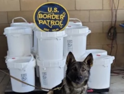 Seized meth with drug-sniffing dog