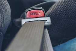 Adobe Stock 144231525