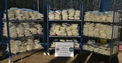 Methamphetamine hidden in a frozen mango shipment