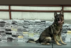 K9 Argo of the Warren (Michigan) Police Department with almost 400 lbs. of cocaine