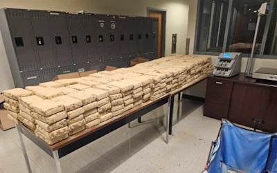 Cocaine Bulk