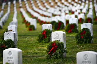 Military cemetery with white headstones in rows decorated with red wreaths and evergreen garland