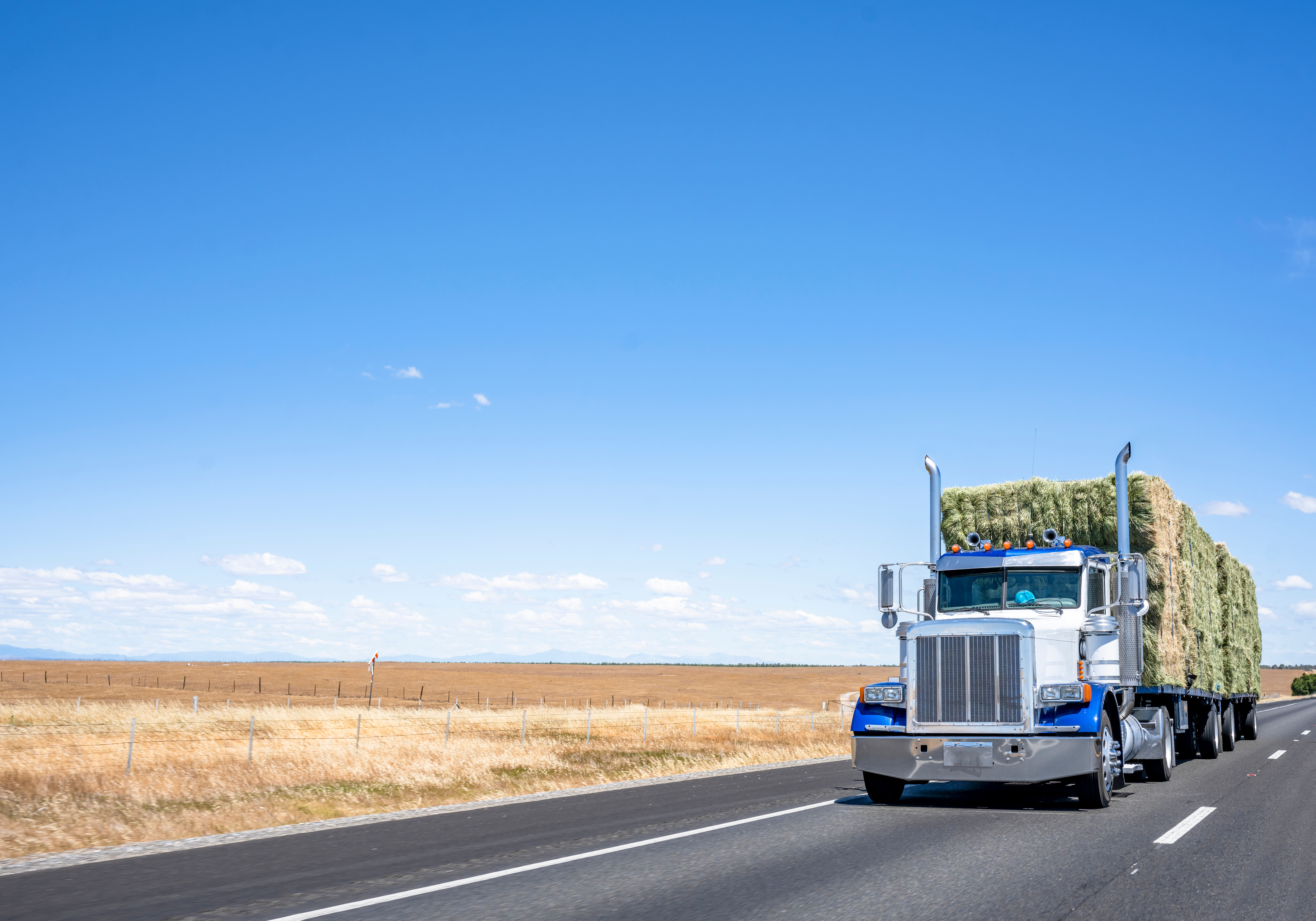 White and blue semi-truck loaded with hay bales driving on a desert highway under clear blue sky