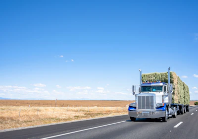 White and blue semi-truck loaded with hay bales driving on a desert highway under clear blue sky